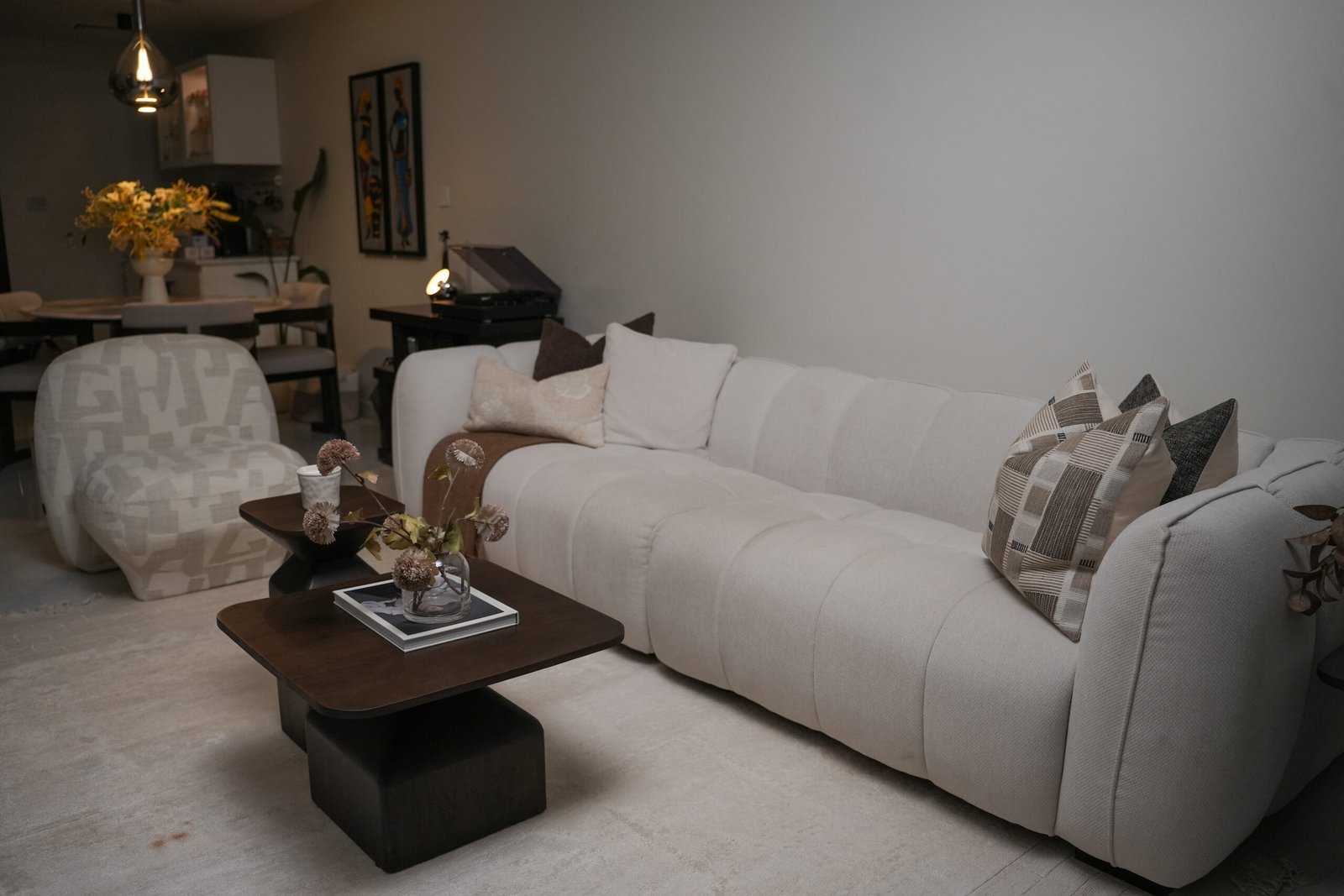 Hydra Villa project